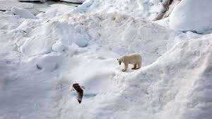 If your newborn is younger than 2 months with a rectal temperature greater than 100.4 degrees fahrenheit (38 degrees celsius), go to an emergency department immediately. Klimawandel Fruherer Temperaturanstieg Oft Nur Regional Der Spiegel