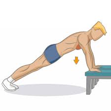 Les pectoraux sont divisés en 3 portions. Bien Muscler Ses Pectoraux Musculation