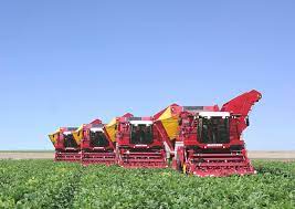 Firma infintata in anul : Fabrica Bod Din BraÈ™ov Singurul ProducÄƒtor Roman De ZahÄƒr In Profit Ro