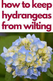 Pin On Garden Hacks