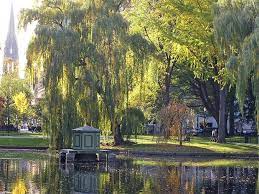 It's no doubt new england has the best leaf changes of the fall season, but where do you find them? Town Greens New England Icons New England Today