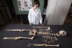 Dec 07, 2020 · origin of men. Cheddar Man Britain S Oldest Skeleton Had Dark Skin Dna Shows The New York Times