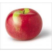 Steve jobs figured that software was the way to win the consumer over and made home desktop publishing possible. User Added Macintosh Apple Calories Nutrition Analysis More Fooducate