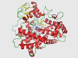 Cyp2d6 Structure Fluoxetine Wikipedia The Free Encyclopedia Parkinsons Parkinson S Disease Parkinsons Disease