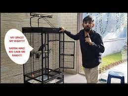We are the premier pet store in the indianapolis area. How To Select The Right Bird Cage Part 1 Salman S Exotic Pet Store Youtube