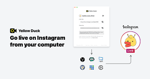 I is possible to simply bring my computer screen via stream on the tv, using the wd tv live? Live Stream On Instagram From Your Computer Yellow Duck