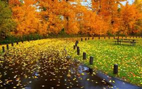 Televiziunea de la malul marii. Prognoza Meteo Septembrie Octombrie 2018 Vremea PanÄƒ La 1 Octombrie Antena 1