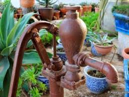 Welche Pumpe Sie Fur Die Gartenbewasserung Nutzen Sollten