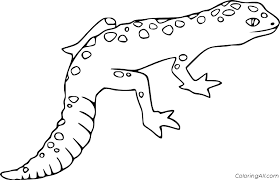 School's out for summer, so keep kids of all ages busy with summer coloring sheets. Lizard Coloring Pages Coloringall