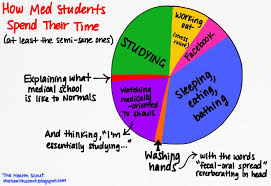 the med students time pie chart how med students spend