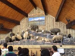 Kau nak cepat kaya macam jual unta tapi kau sendiri malas nak usaha cerita sana sini geban. Brandon Rowengs On Twitter At Agrodome In Rotorua Mungkinkah Legolas Aragorn Disumpah Menjadi Kambing Biri Biri Http T Co Snwvcnizun