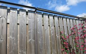8 Enhancing Cool Tricks Fence Illustration Beautiful How To Build A Bamboo Fence Fence Planters Hanging Tall Picket Fen Backyard Fences Cat Proofing Cat Fence
