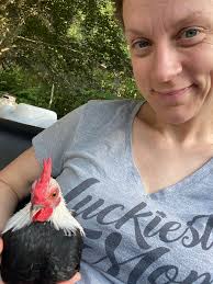 Rooster survives fox attack, earns a second chance