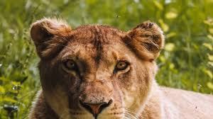 Photo Verrières-en-Anjou. Les vacances d'hiver en famille - Ouest-France