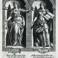 Image result for Justicia nuttii