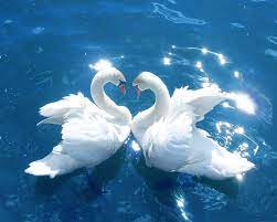 Over 40,000+ cool wallpapers to choose from. Nice Wallpapers 7 18863 Hd Wallpaper Wallroro Hd Wallpapers Range