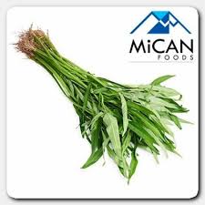 Kalau anda ingin menanamnya, anda beruntung karena kangkung adalah tanaman yang. Purchase Wholesale Kangkung Water Spinach 800g Per Unit From Trusted Suppliers In Malaysia Dropee Com