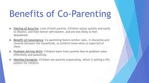 The arrival of a new baby is one of life's most joyful moments. Co Parenting Session 3 Shared Parenting Ppt Video Online Download