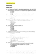 The signal, an impulse called an action potential, travels through a type of nerve cell called a motor neuron. Muscle Worksheet Muscle Worksheet Skeletal Muscle Multiple Choice 1 When Skeletal Muscle Contracts It Usually Moves The Bone At One End Much More Than Course Hero