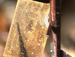Orthopyroxene Subgroup Mineral Information Data And Localities