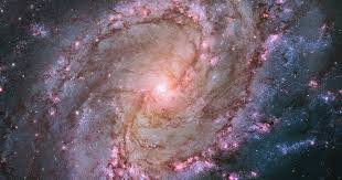 Image result for Cosmos