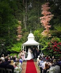 Lyrebird Falls Receptions Kallista Weddingvenues Com Au Autumn Reception Best Wedding Venues Melbourne Wedding