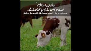 Anak monyet,anak rusa,anak harimau,anak singa,anak tupai,anak gajah,anak harimau bintang,anak kerbau,anak kambing,anak kuda, anak lembu,anakitik,anak arnab,anak anjing. Surah Rahman The Beneficent Ø³ÙˆØ±Ø© Ø§Ù„Ø±Ø­Ù…Ù† Spellbinding Quran With Translation Explanation Part 1 Youtube