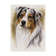 4.5 out of 5 stars. Trademark Art Barbara Keith Australian Shepherd By Barbara Keith Print On Canvas Wayfair