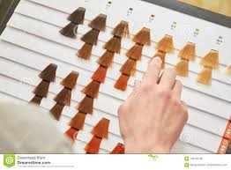 Hair Dye Sample Chart Hand Stock Photo Image Of