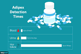 Drugs, foods, and other substances can cause false positives. How Long Does Adipex Phentermine Stay In Your System