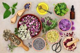Obat Gerd Herbal Sekaligus Tips Perawatannya Di Rumah