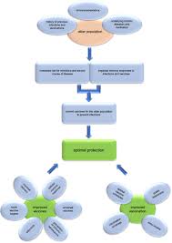 As you get older, your immune system weakens and it can be more difficult to fight off infections. Frontiers Vaccines To Prevent Infectious Diseases In The Older Population Immunological Challenges And Future Perspectives Immunology