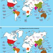 Pdf Turtle Hotspots An Analysis Of The Occurrence Of Tortoises And Freshwater Turtles In Biodiversity Hotspots High Biodiversity Wilderness Areas And Turtle Priority Areas