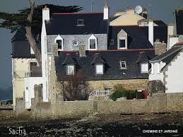 Chemins Et Jardins Blog Rando Et Balade La Perdrix Ile Tudy En Passant Pour L Ile Des Chevaliers Ile Tudy Finistere Bretagne