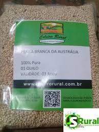 Perila Branca Da Australia