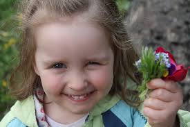 State Building Company