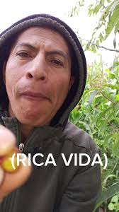 los frutos de nuestra tierra #cayambe_ecuador🇪🇨 #ricavida #ecuatoria...