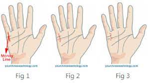 Palm line reading is the most important part of palmistry. Which Is Money Or Wealth Line In Your Hand As Per Palmistry Quora