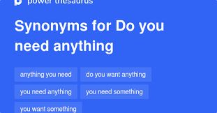 Do You Need Anything Synonyms 47 Words And Phrases For Do You Need Anything