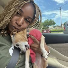 TOP 10 BEST Dog Daycare in Jersey Village, TX