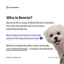 Studio Bennie (@studio.bennie) • Instagram photos and videos