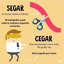 Muchos Necesitan Saber Esto Palabras Homofonas Palabras De Ortografia Palabras Ortograficas Ortografia