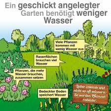 Mit einer solardusche erfolgt das aufheizen automatisch, billiger geht es mit dem campingkocher. Wasser Sparen Im Garten Regentonne Richtiges Giessen Rasensprenger