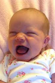 Community News and Notes