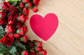 Check out this beautiful photo of red and pink combined flower. Pictures Valentine S Day Heart Red Roses Flower Many