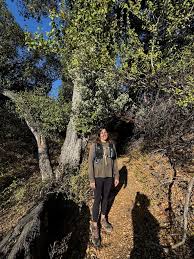 Image result for tbn:Qm8QJA0FQGkeJM::www.trekkingchile.com/Images/mis_fotos/1201890604.jpg