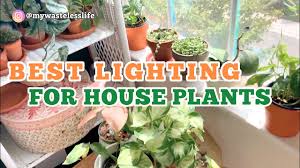 We did not find results for: Haus Bright Led Grow Light How To Give Best Lighting For Our Plants Grow Light Giveway Youtube