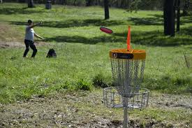 Image result for disc golf