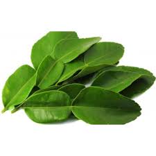 * akak bubuh sos tiram kerana akak pernah tanya pada kedai tomyam rahsia masak. Daun Limau Purut Fresh Daun Limau Purut Kampung Daun Limau Tomyam Sedap Daun Penyedap Tomyam Shopee Malaysia