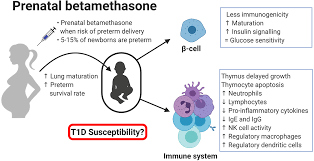 Betamethasone is a corticosteroid that is available as a pill, by injection, and as an ointment, cream, lotion, gel, or aerosol (spray) for the skin, and a foam for the scalp. Frontiers Immune System Remodelling By Prenatal Betamethasone Effects On B Cells And Type 1 Diabetes Endocrinology